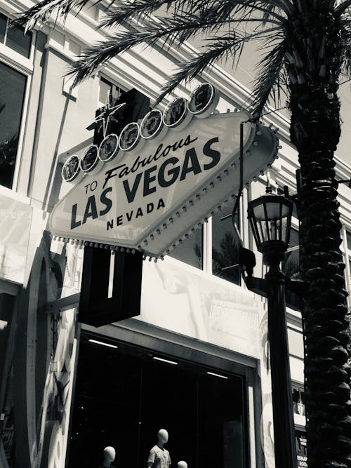 Casino Image
