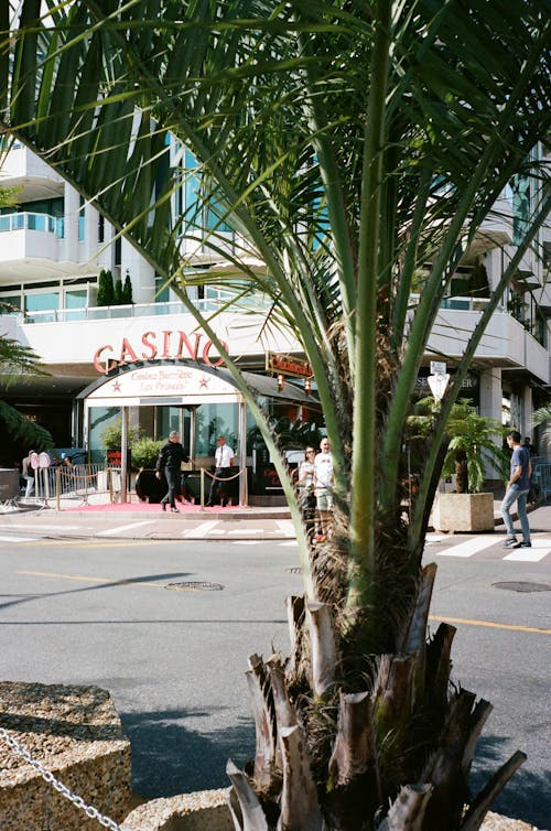 Casino Image