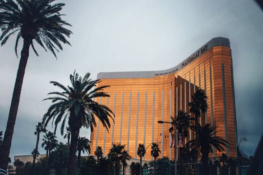 Casino Image