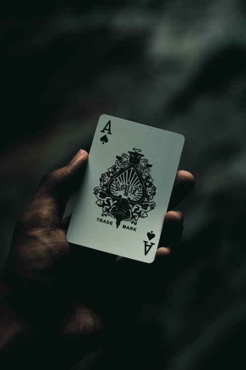 Casino Image