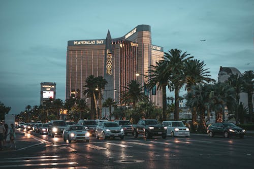 Casino Image