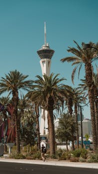 Casino Image
