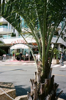 Casino Image